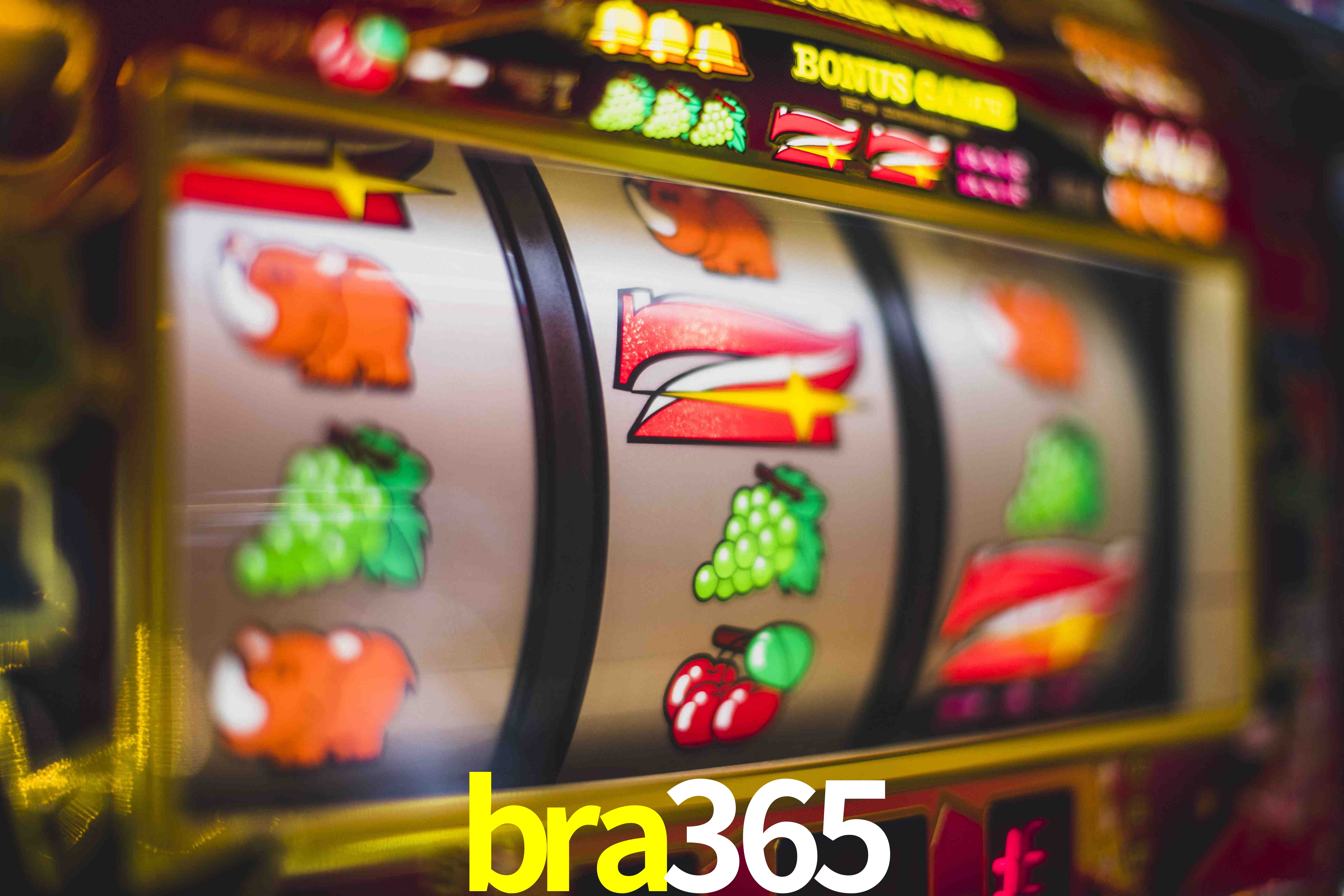 Experiência VIP bra365